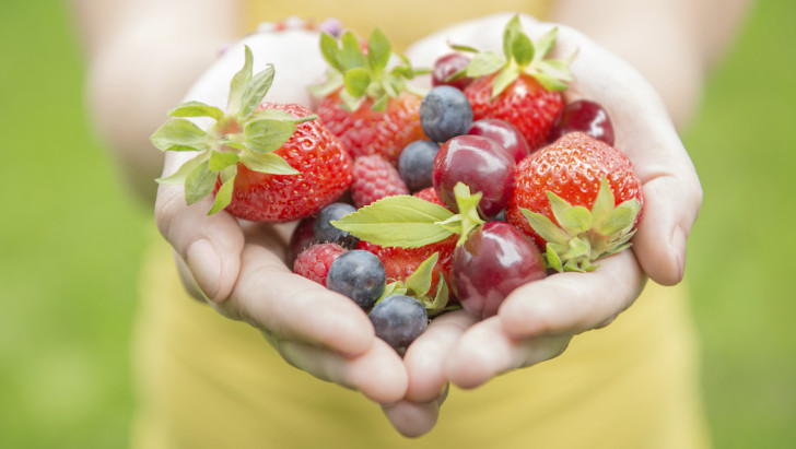 Bunch of fruit in the shape of a heart in someone's hands